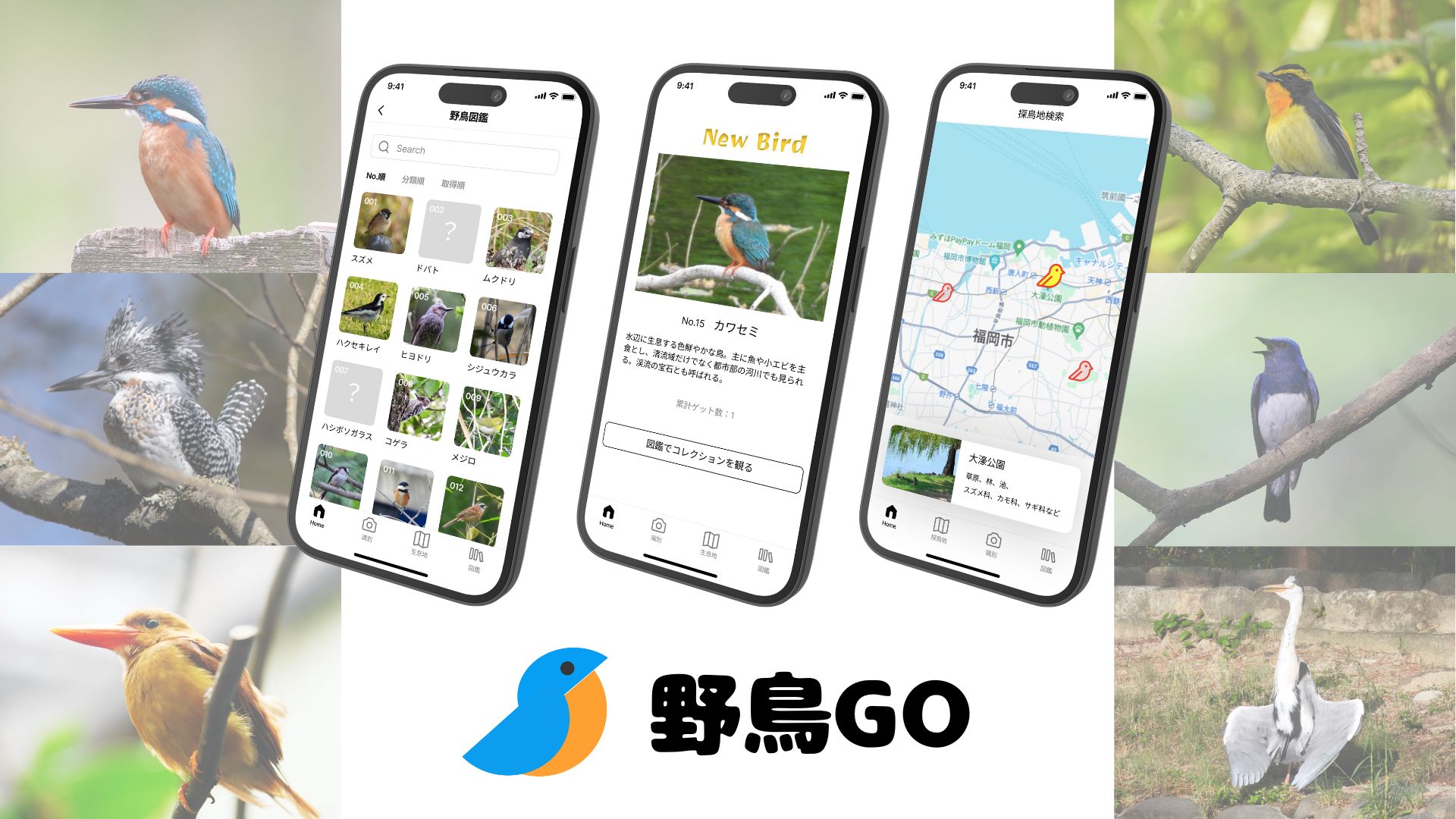 野鳥GO Hero